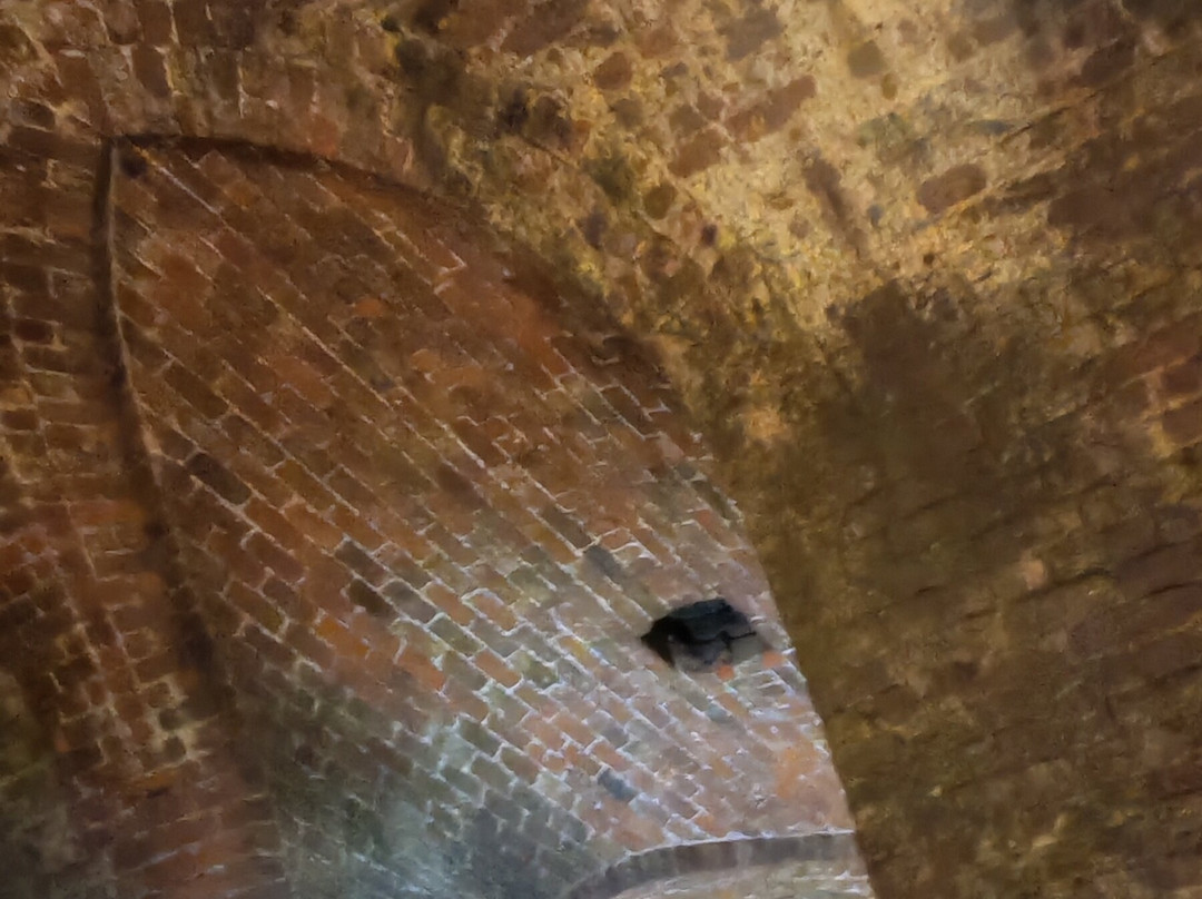 Williamson’s Tunnels – Friends of Williamson’s Tunnels-利物浦必去景点