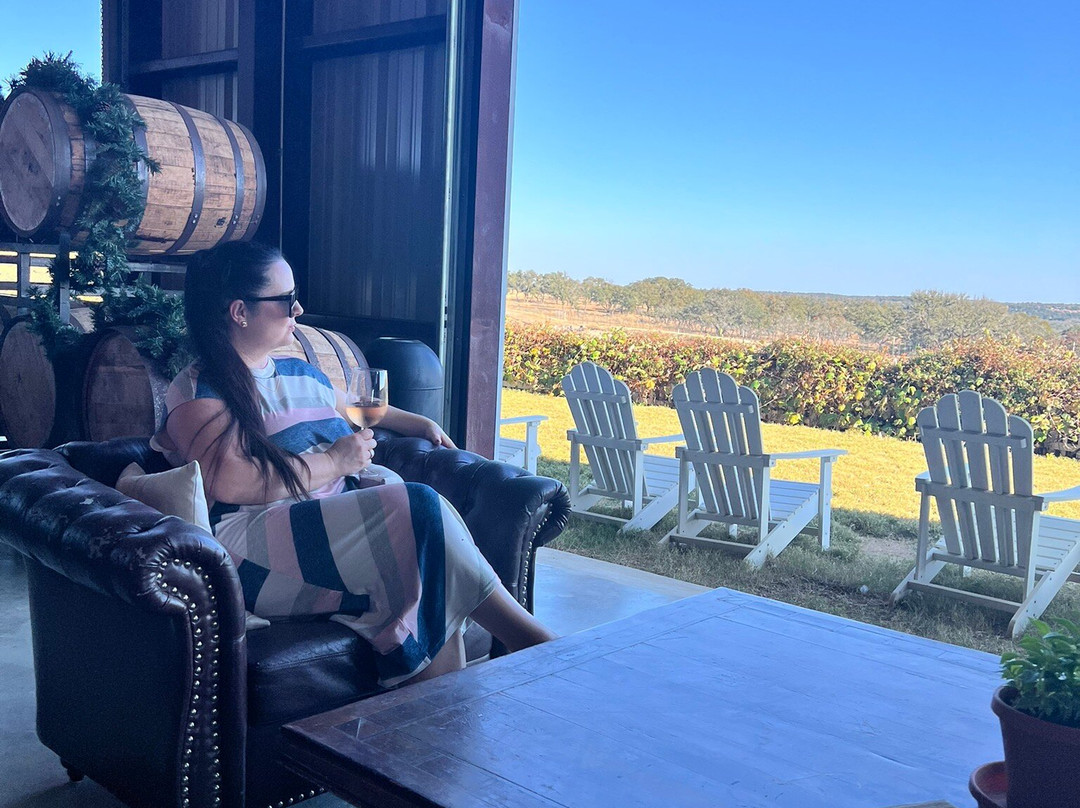 Grapetown Vineyard-弗雷德里克斯堡必去景点