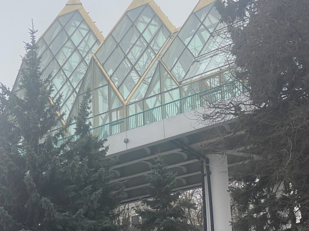 Pushkinskiy / Andreyevskiy  Bridge-莫斯科必去景点