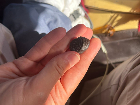 Elzaghandi Travel-Bahariya Oasis必去景点