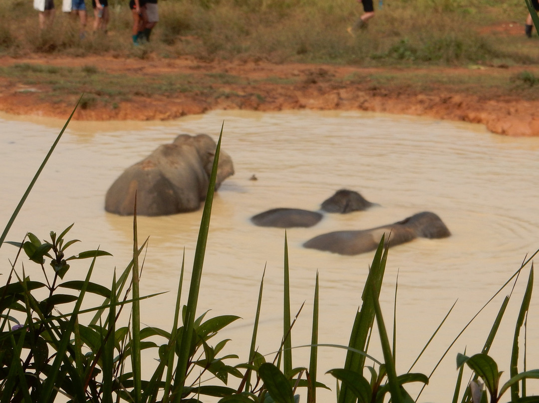 Following Giants - Krabi-Khlong Hin必去景点