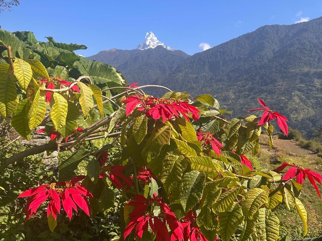 Real Himalaya-加德满都必去景点
