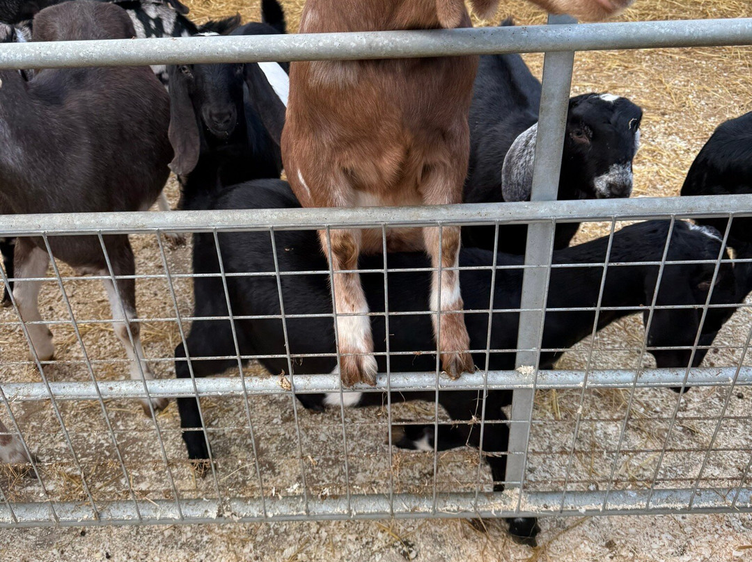 None Go Bye Farm-Horsforth必去景点