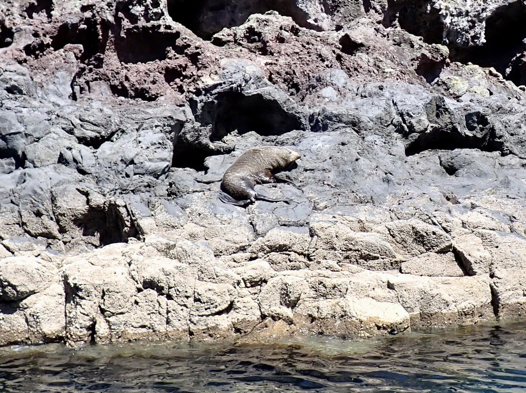 生态海洋水上行-阿卡罗阿必去景点
