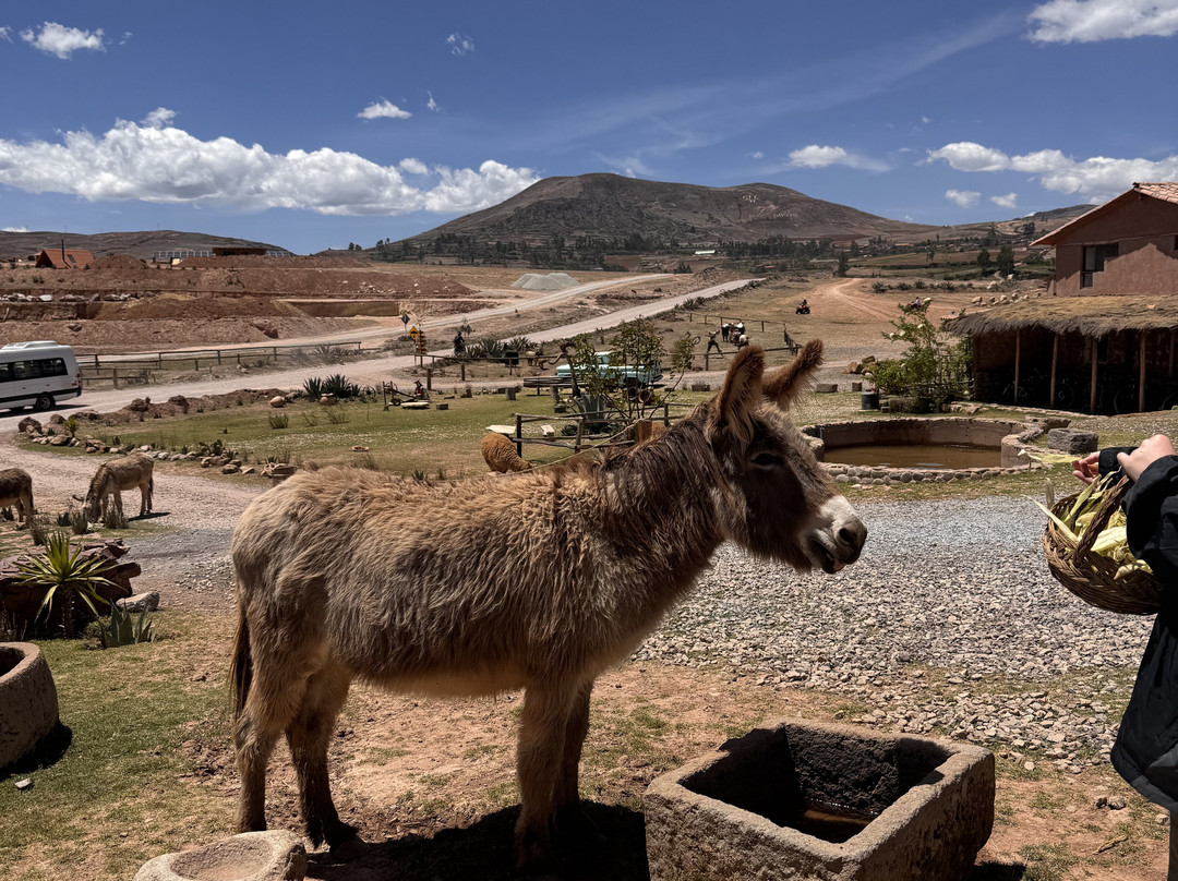 Mountain View Experiences-Maras必去景点