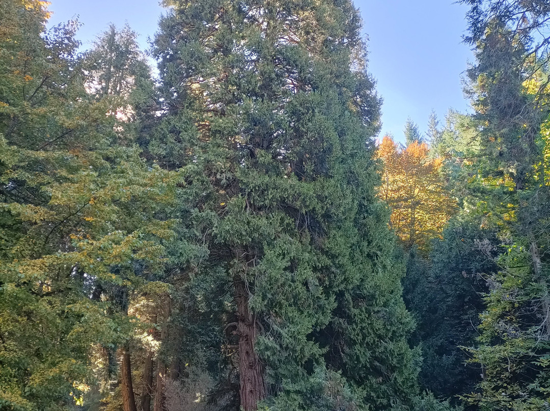 Passo della Consuma-Consuma必去景点