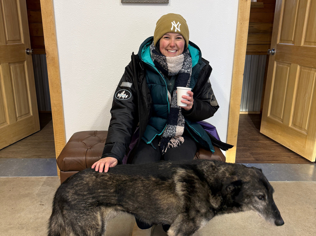 Alaskan Husky Adventures-安克雷奇必去景点