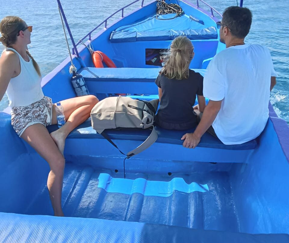 Shimoni Wasini Dolphin Destination-Shimoni必去景点