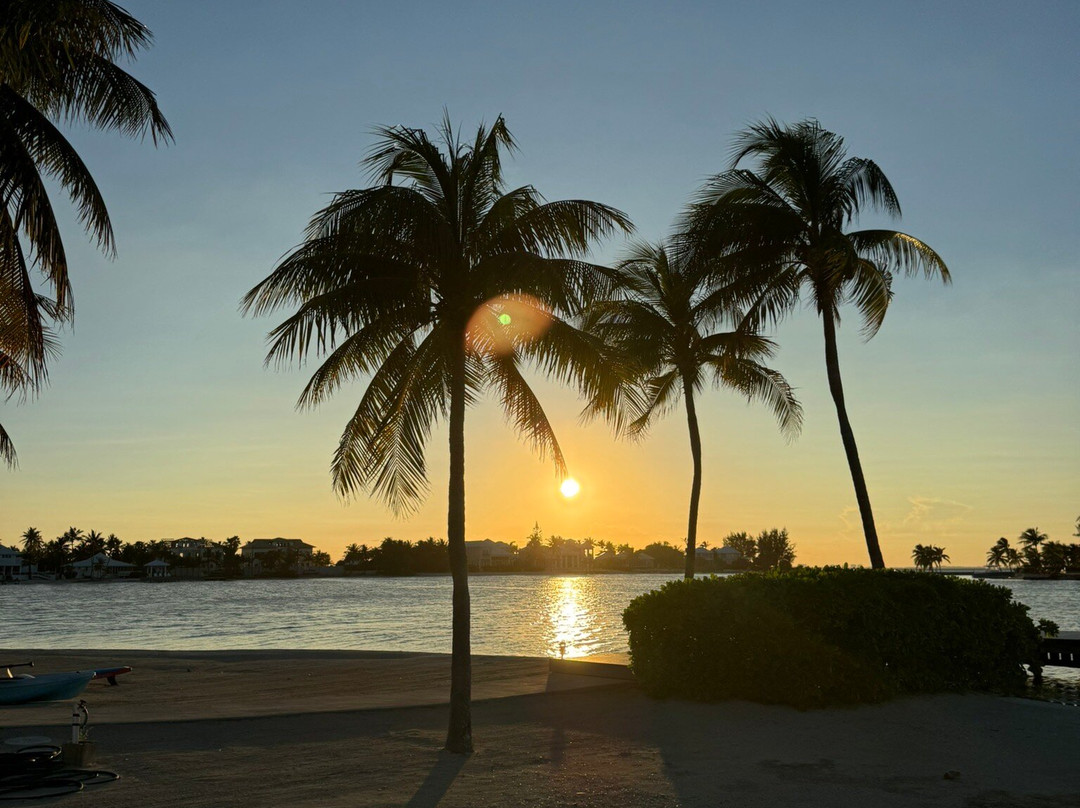 Joe Tourist Outdoor Adventures-乔治城必去景点