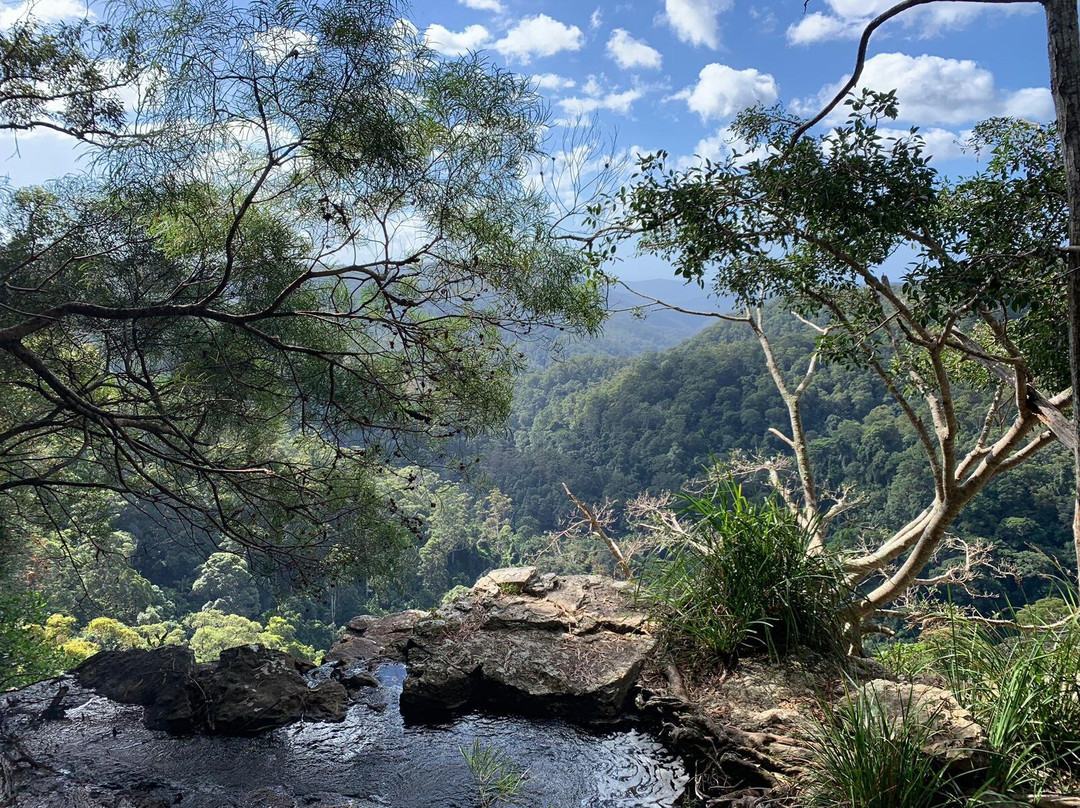 Purling Brook Falls-春之泉必去景点