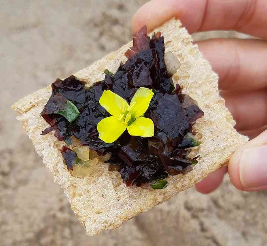 Naturopathe & Guide Nature Maria Karanakova-勒普利盖恩必去景点