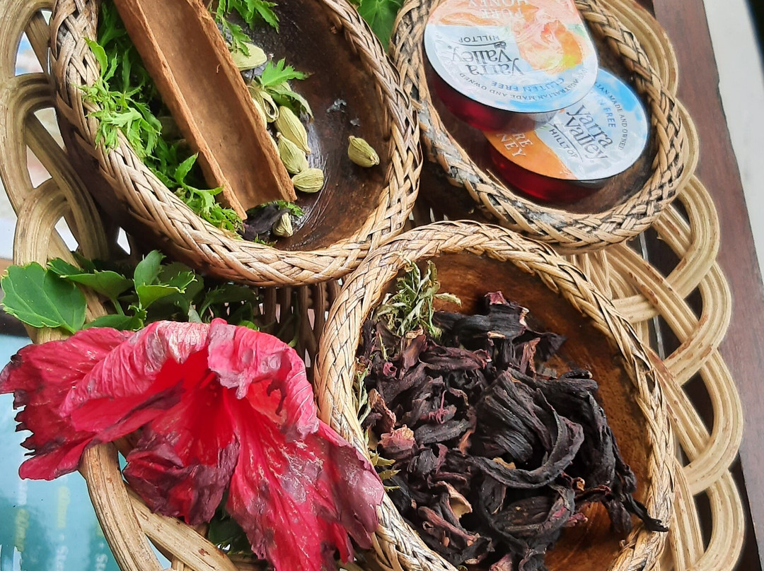 Araamu Spa-太阳岛必去景点