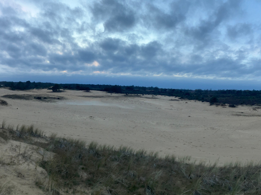 Nationaal Park Drents-Friese Wold-Appelscha必去景点