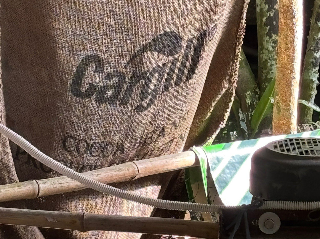 Muoi Cuong Cocoa Farm-芹苴必去景点