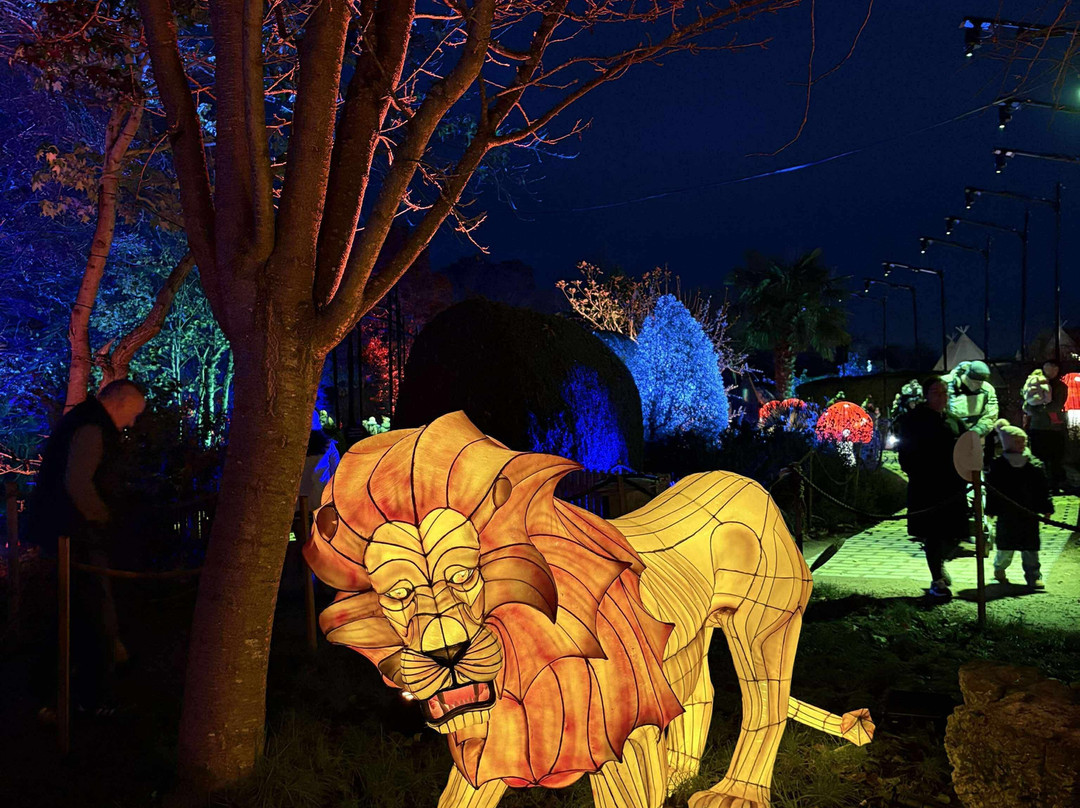 Webbs of Wychbold-德罗伊特威奇必去景点