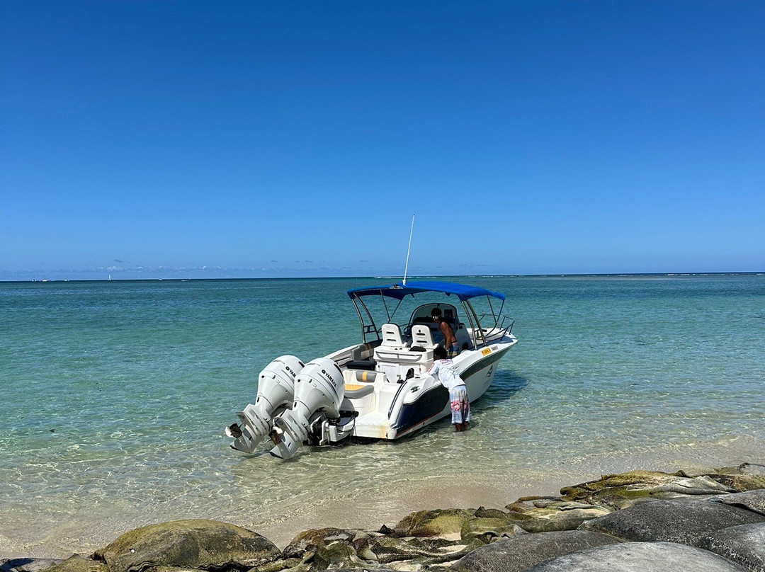 Dream Dolphin-黑河必去景点