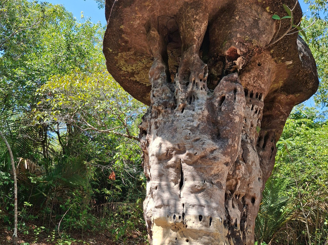 NW Transfer & Tourism-Monte Alegre必去景点