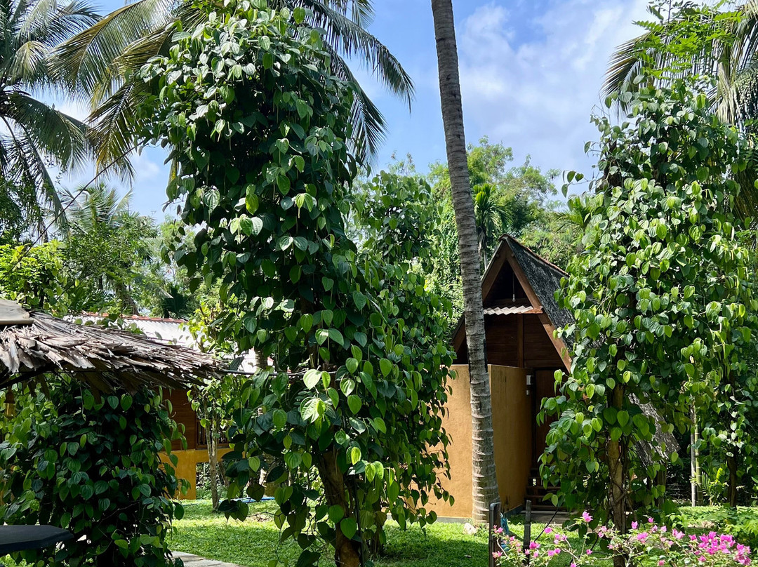 Wild Lake Side Holiday Resort主图