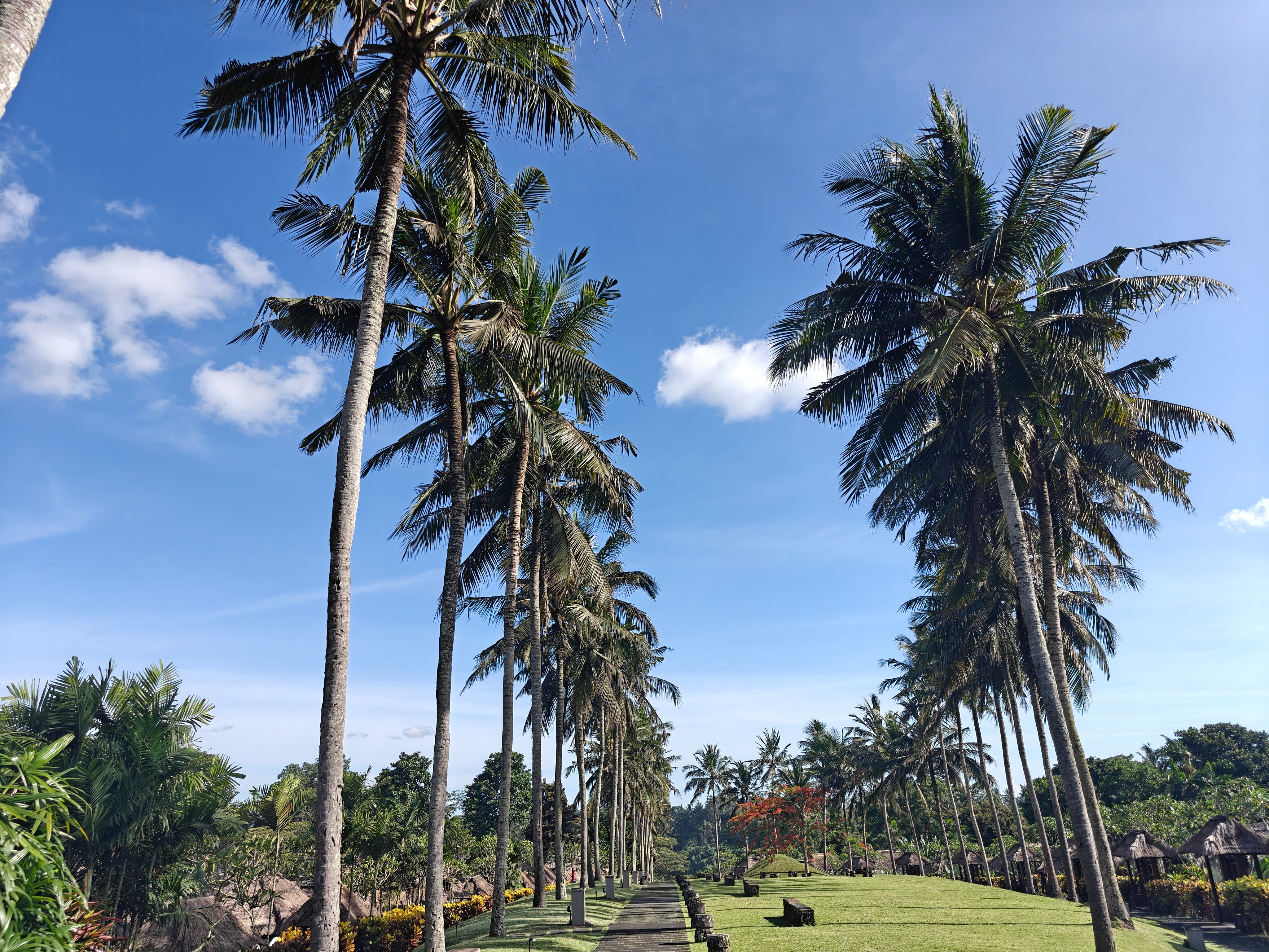 乌布玛雅度假村-官方