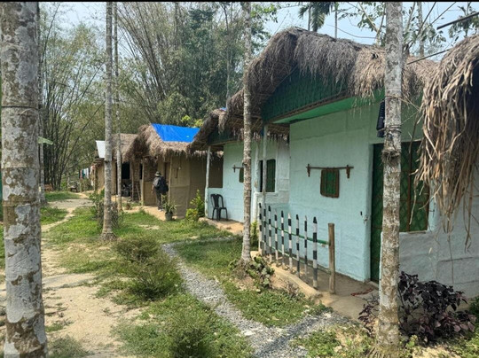 Tranquil Bambusic Bliss