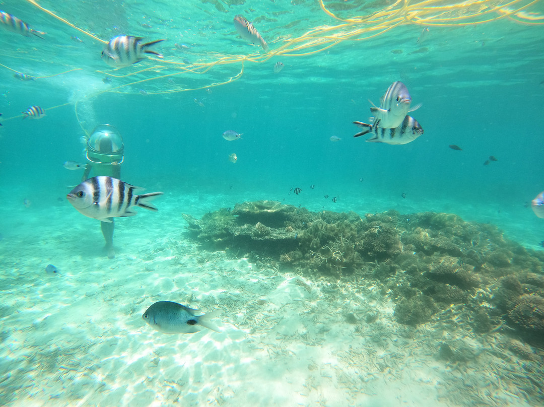 水上乐园-贝尔马尔必去景点