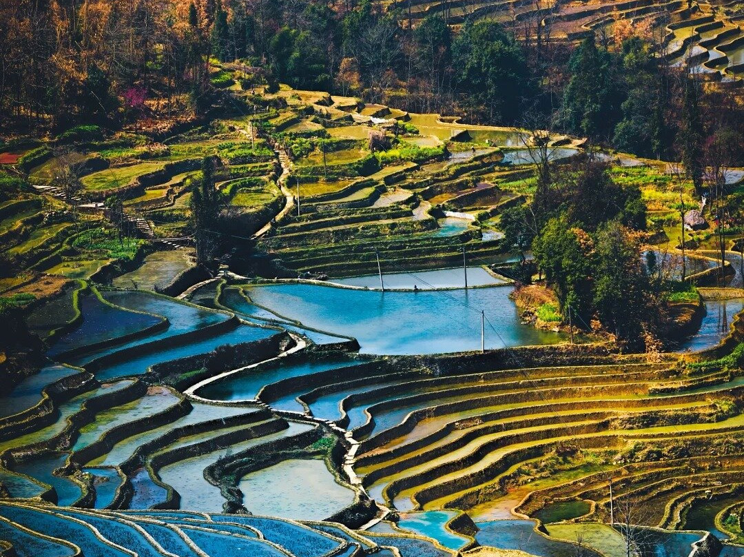 Szw (yunnan) International Travel Agency Co., Ltd-昆明市必去景点