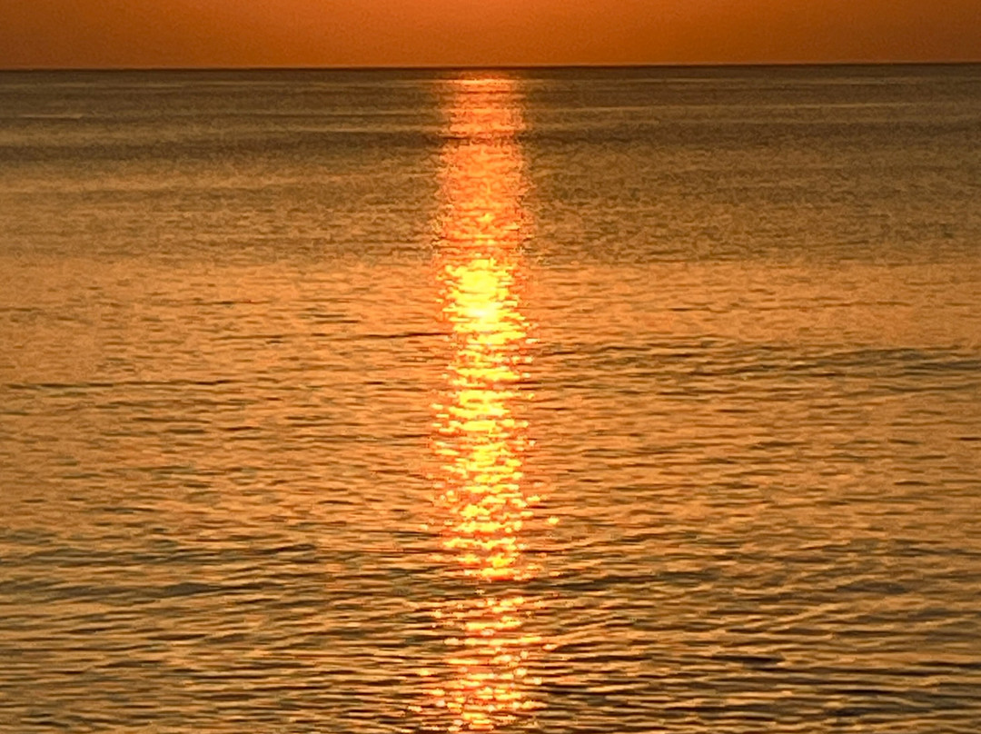 Fun Divers Zanzibar-奔巴岛必去景点