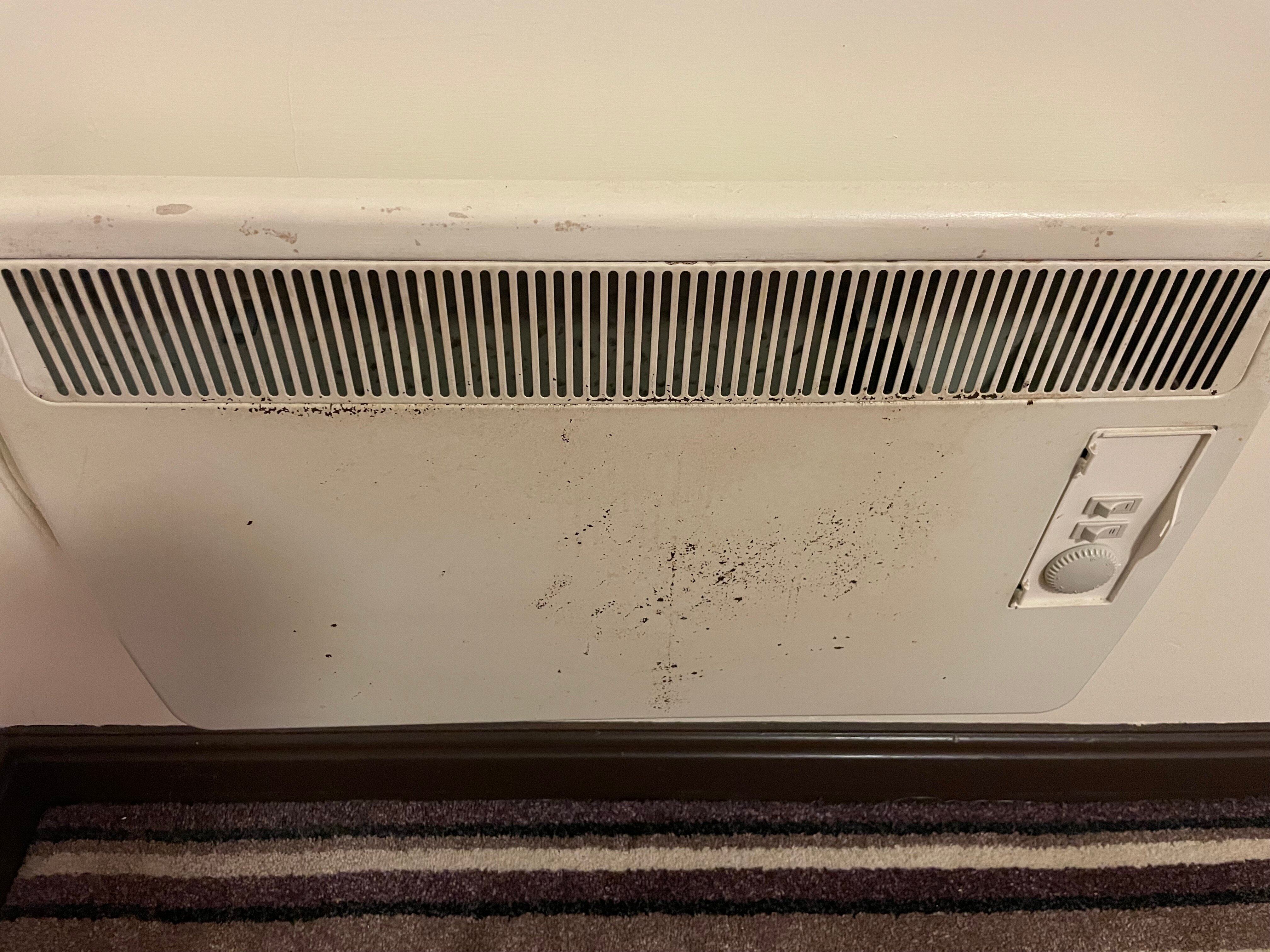 Guy's Thatched Hamlet-客卧