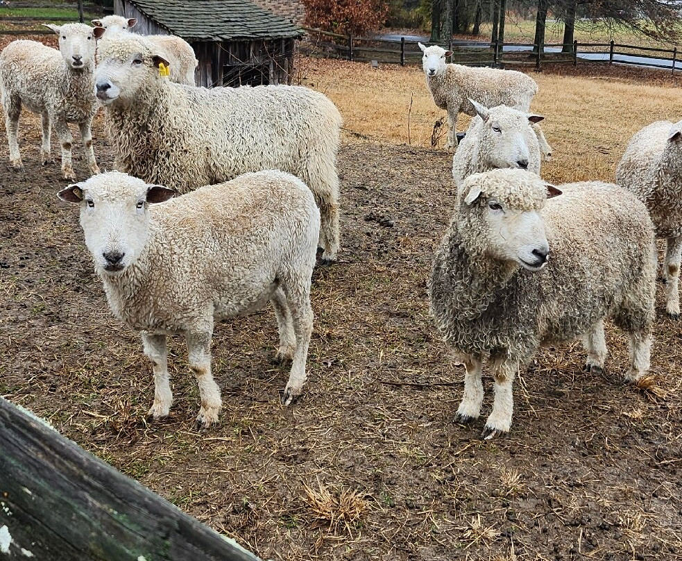 Rocky Mount State Historic Site & Museum-Piney Flats必去景点