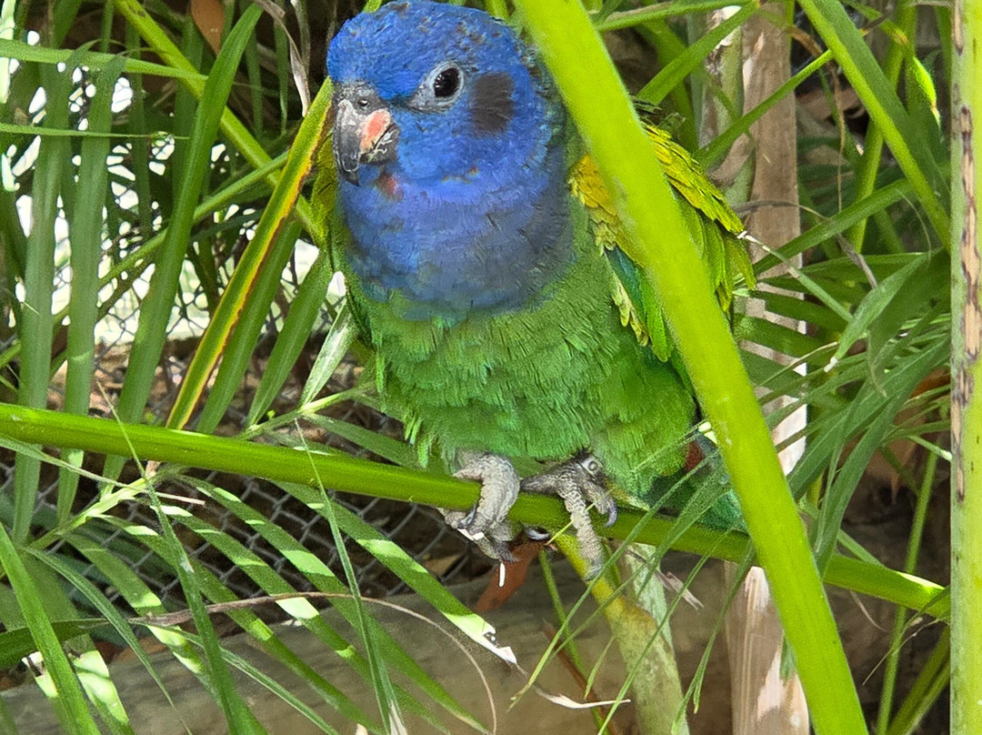 Parque Arvorar-Aquiraz必去景点