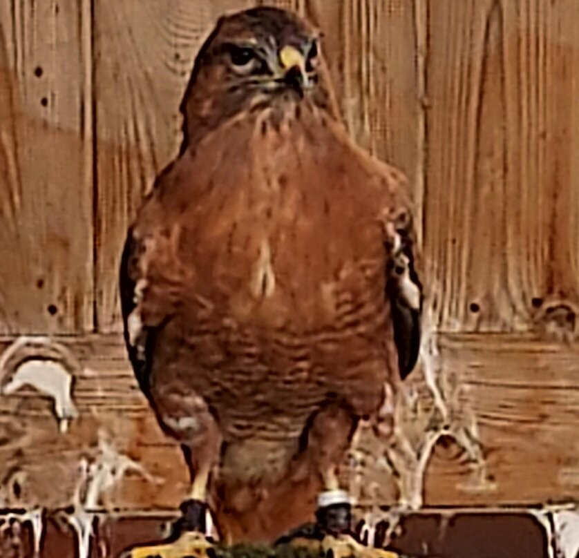 Tierra Rapaz-Calahorra必去景点