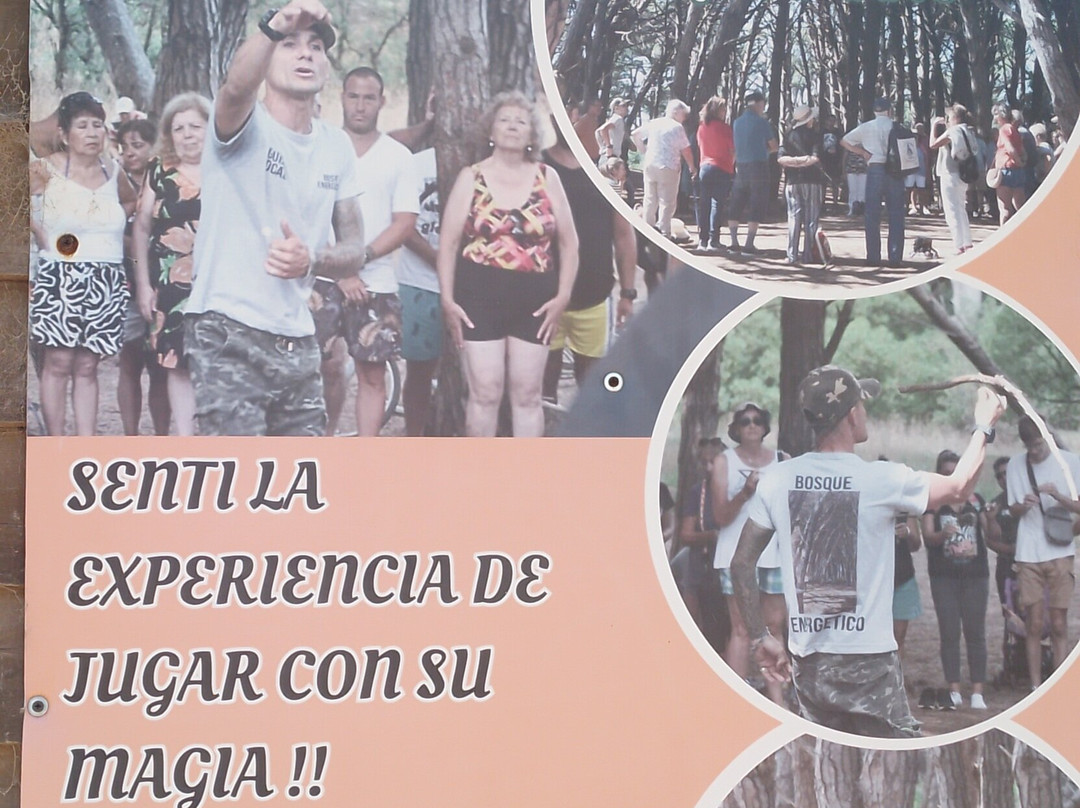 La peatonal-Miramar必去景点