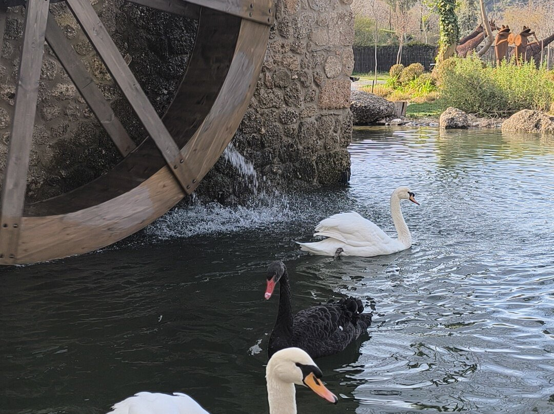 Area Synest Nature Suites主图