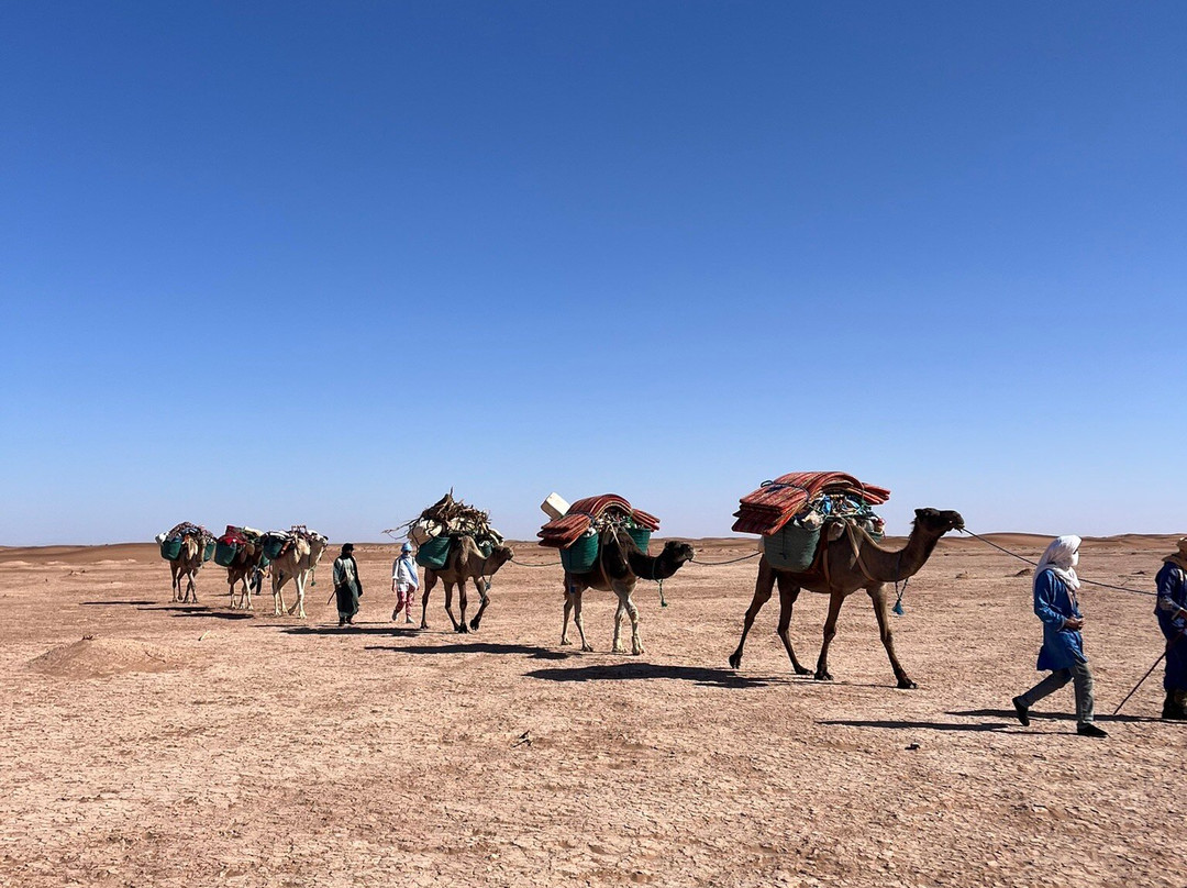 Racines du Désert-迈哈米德必去景点