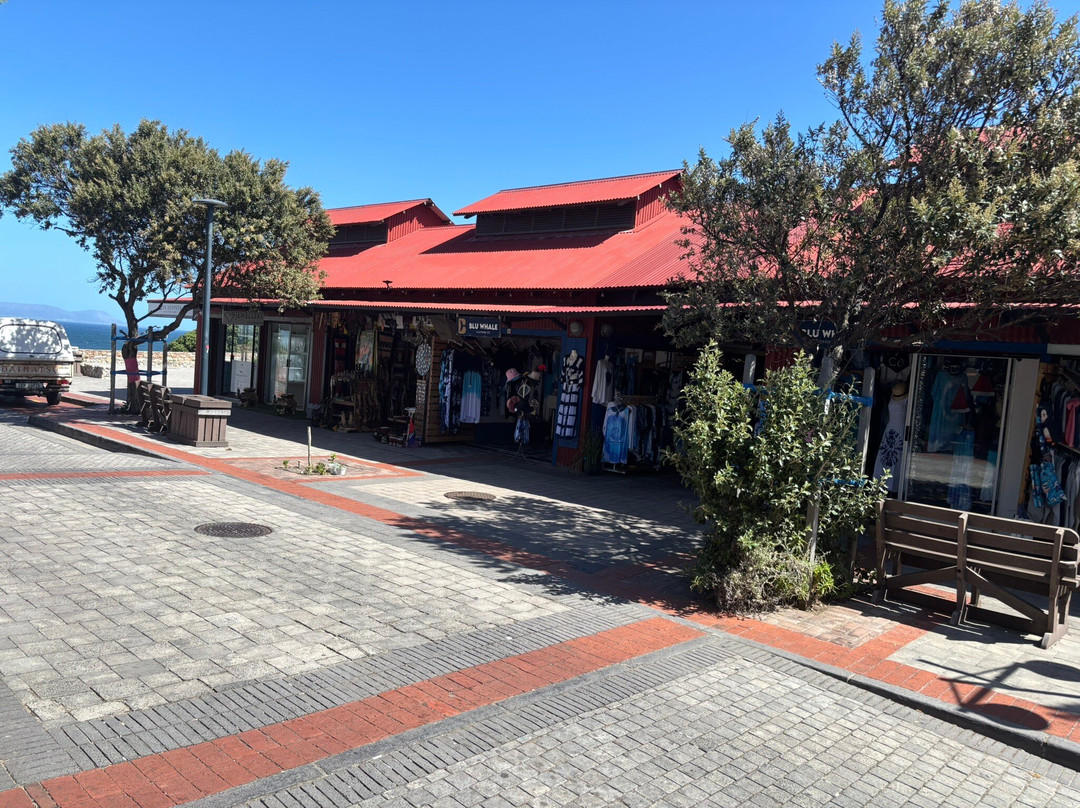 Hermanus Cliff Path-赫曼努斯必去景点