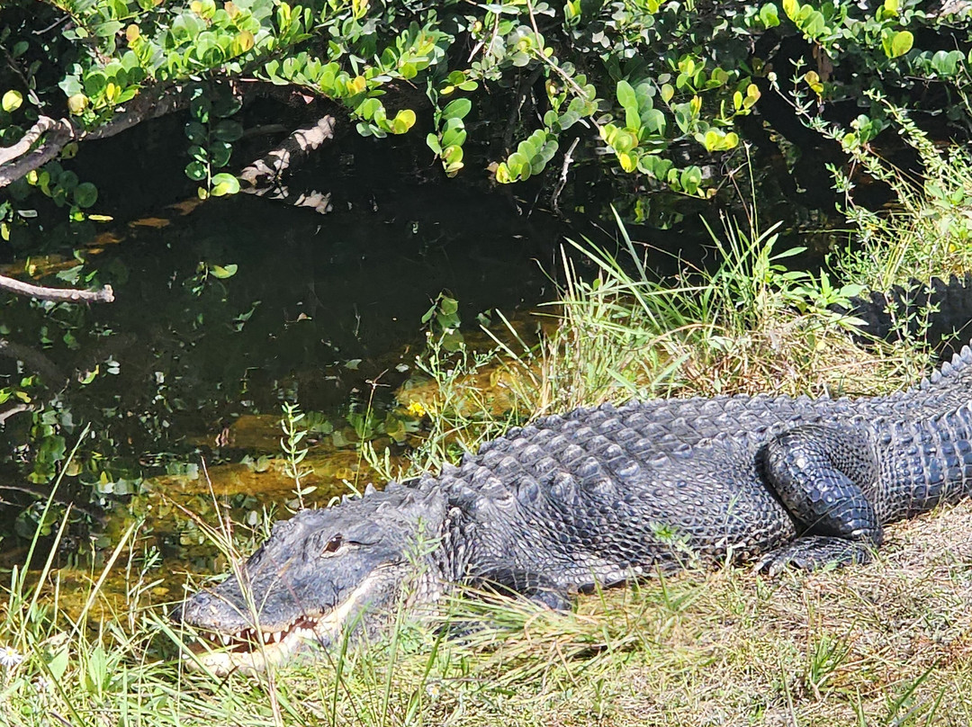 Loop Road-奥乔皮必去景点