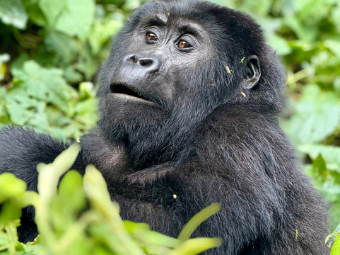 Salt Holidays-坎帕拉必去景点