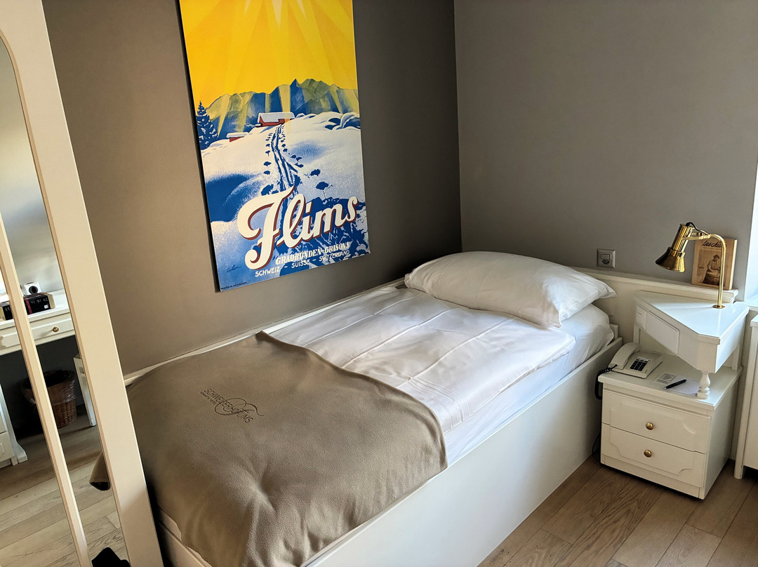 施瓦茨霍夫罗曼蒂克酒店主图