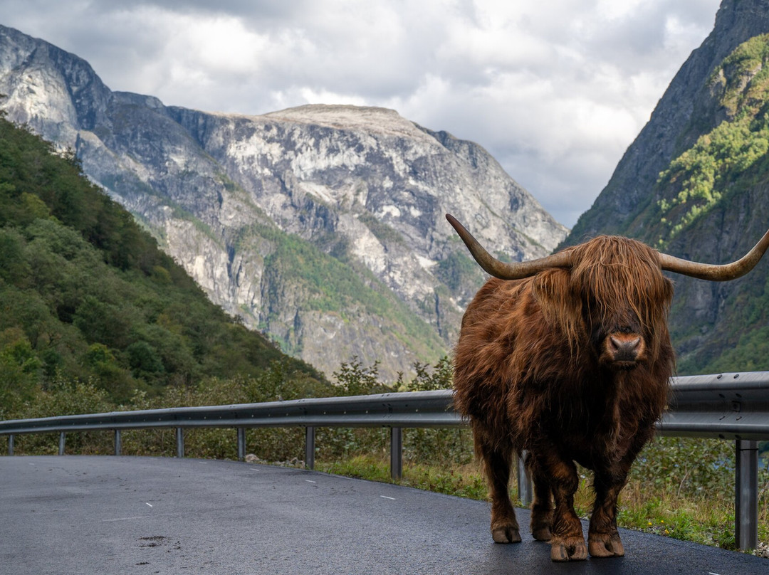 Foto-Wandern.com-Nordhausen必去景点