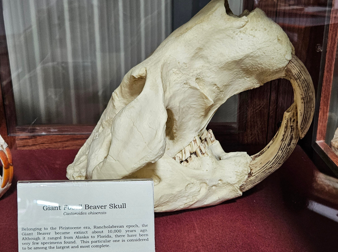 Missouri Institute of Natural Science