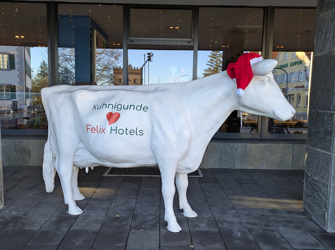 Felix Hotel Kaufbeuren主图