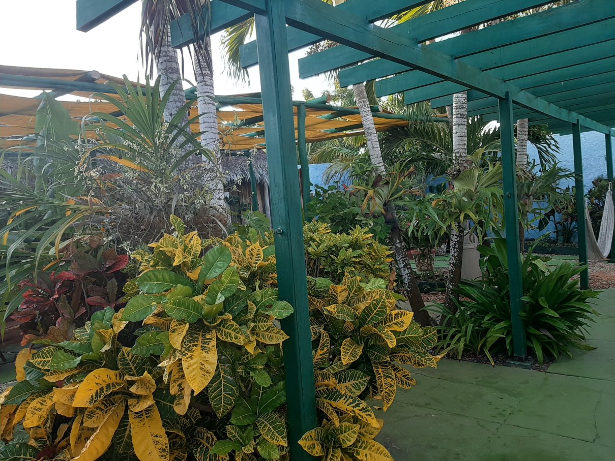 Hostal El Castillito-官方