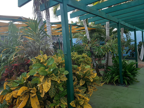 Hostal El Castillito主图