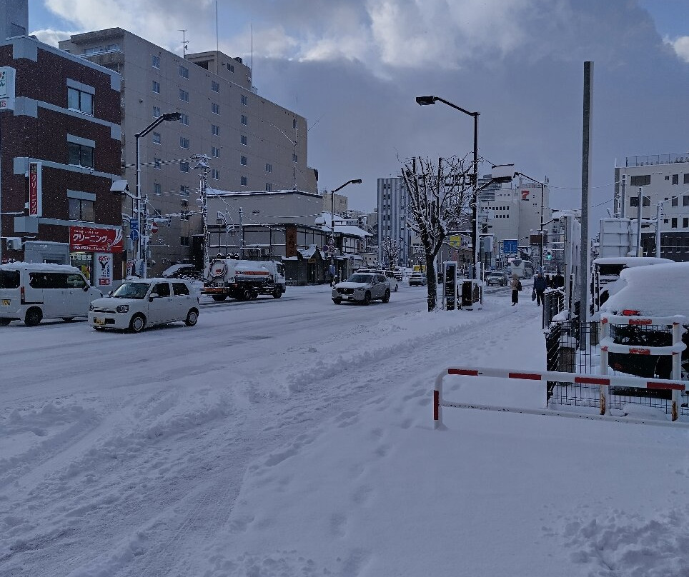 旭川多米酒店主图