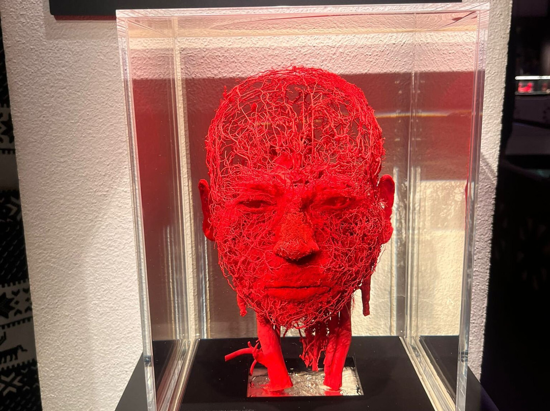 KORPERWELTEN Museum – Anatomie des Glücks-海德尔堡必去景点
