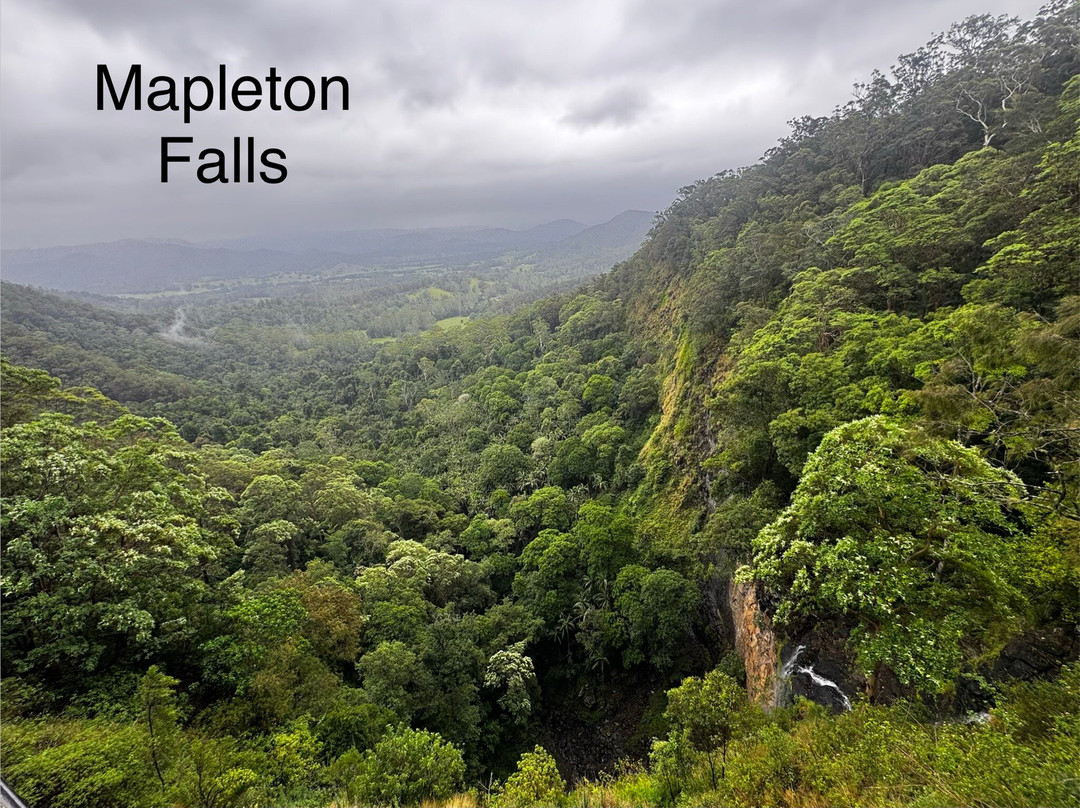 Mapleton Falls National Park-Mapleton必去景点