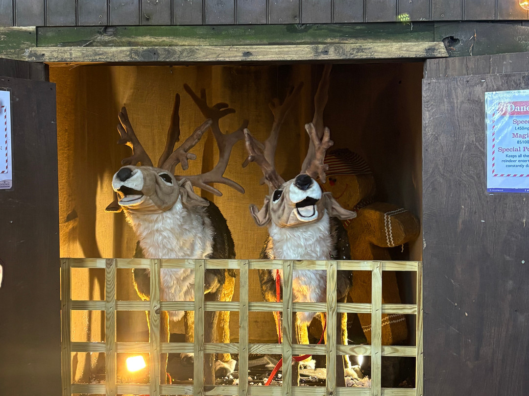 Santa's Grotto At Coolings Lifestyle-Knockholt必去景点