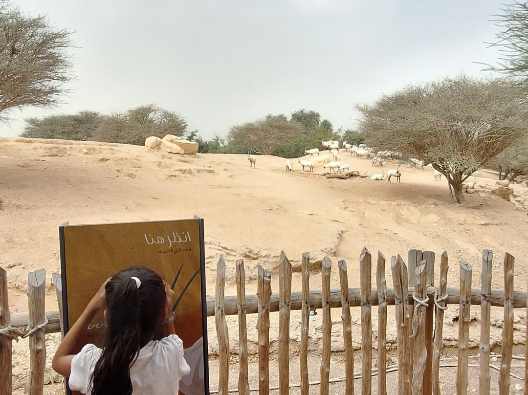 Al Ain Zoo 2017 2018 2019-艾因市必去景点