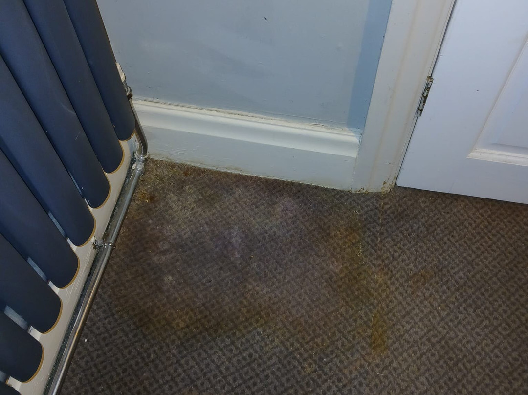 约克B+B酒店主图