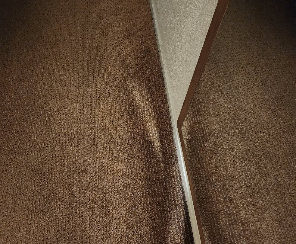 钟楼诺杰苏尔玛娜酒店主图